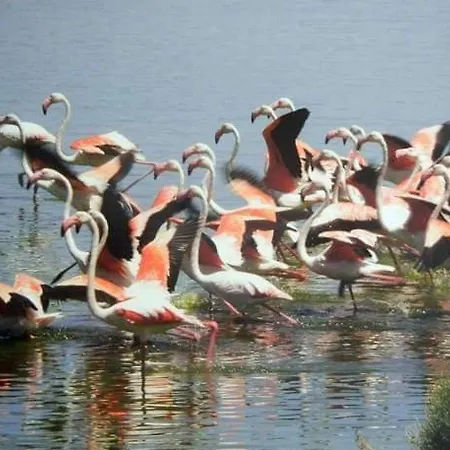 Casa Vacanza Valacca *